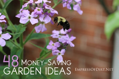 Get 48 gardening tips which will help you save money.