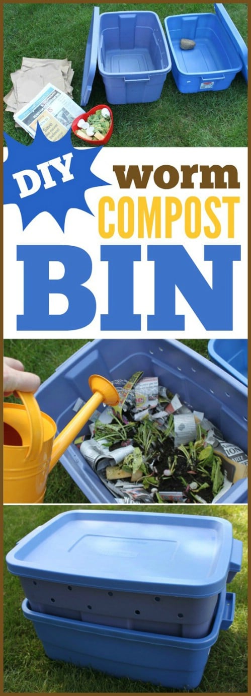 Create a worm composting bin.