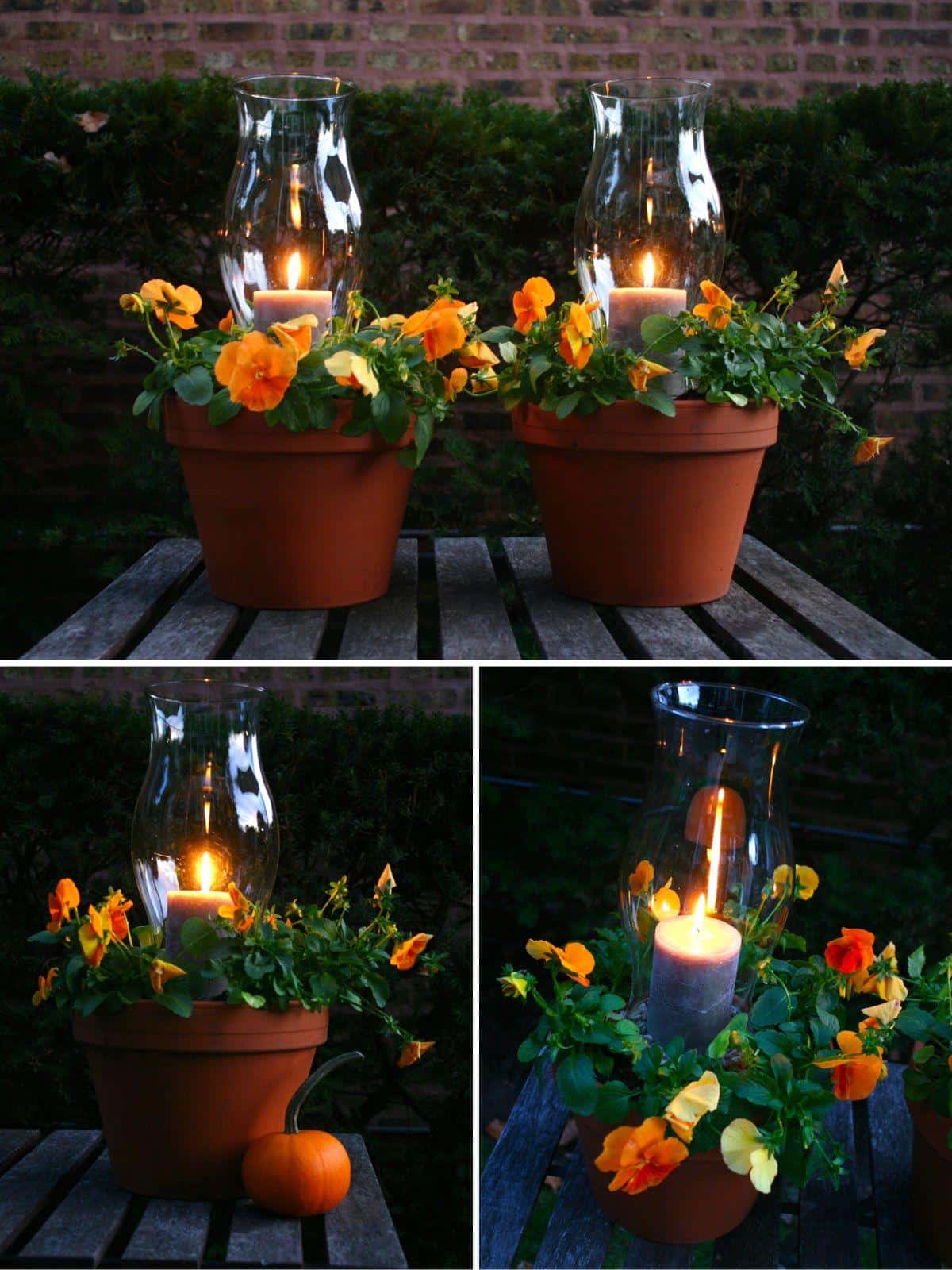 Plant Pot-Meets-Lantern collage.