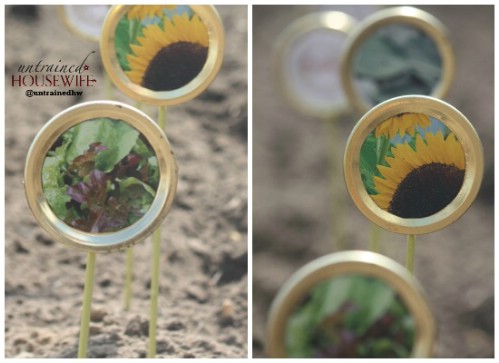 Create seed labels out of canning lids.