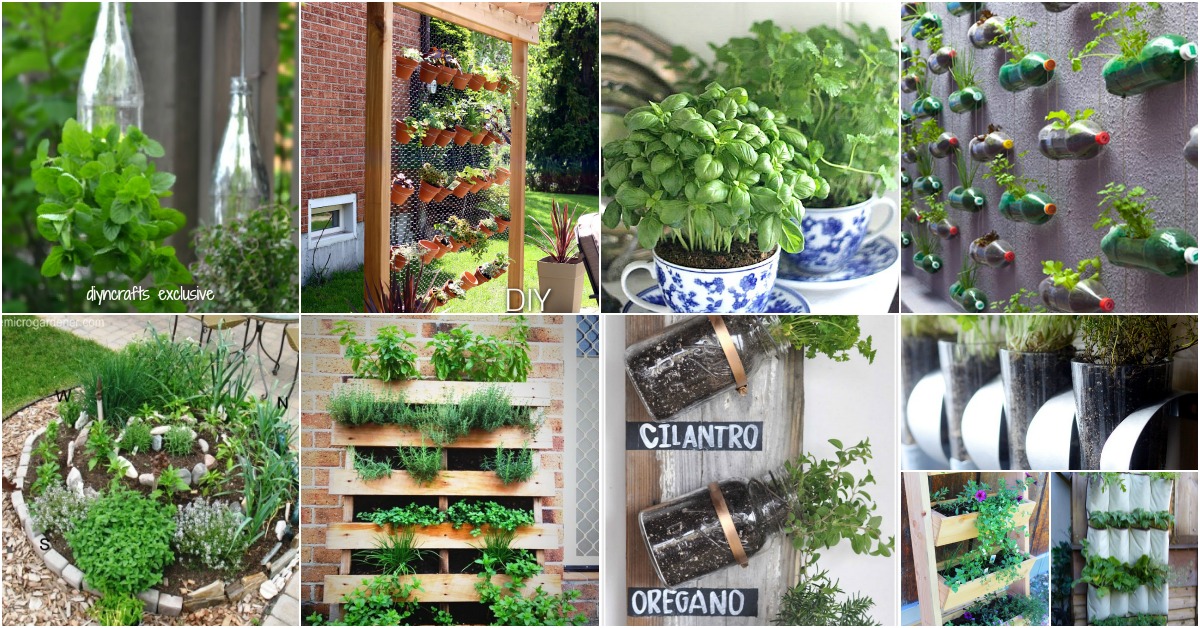 18 Brilliant and Creative DIY Herb Gardens for Indoors and Outdoors