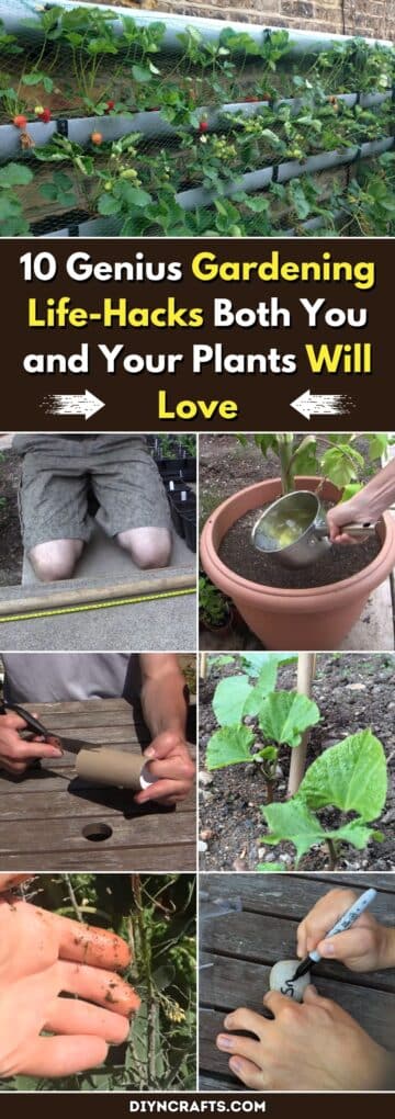 10 Genius Gardening Life-Hacks Both You and Your Plants will Love - DIY ...
