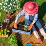 gardening tips diy