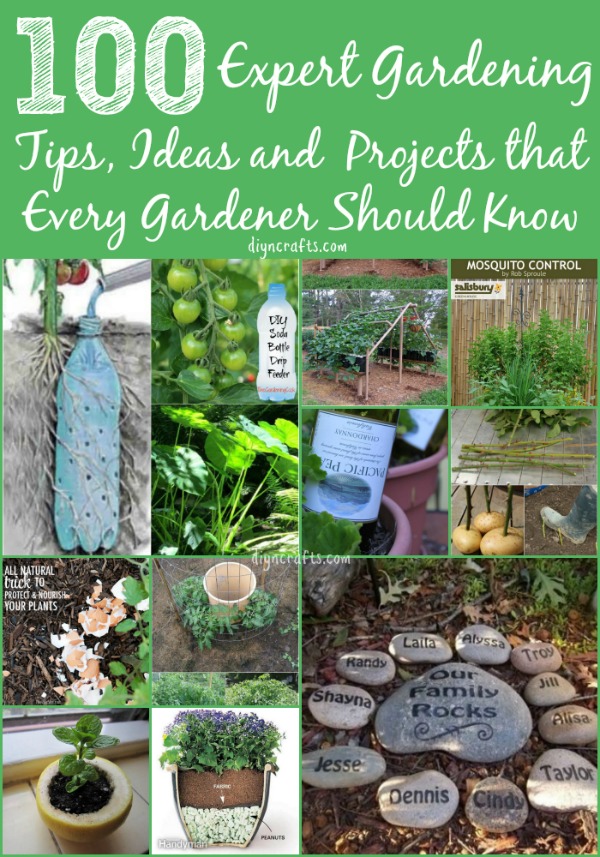 100 Expert Gardening Tips, Ideas and Projects that Every Gardener Should Know. Spectacularly impressive gardening projects and hacks!