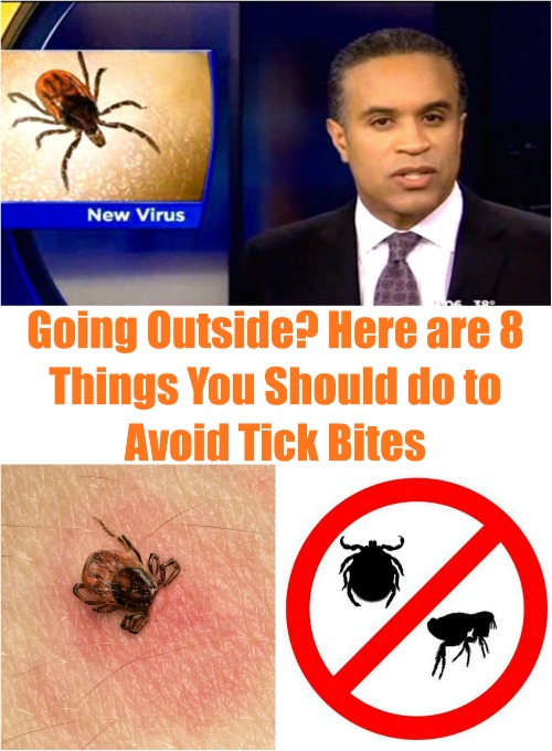 Going Outside? Here are 8 Things You Should do to Avoid Tick Bites...