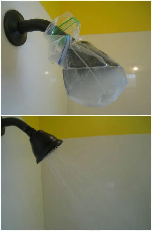 Clean Your Shower Head