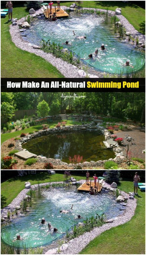 Magical Outdoor DIY: How Make An All-Natural Swimming Pond