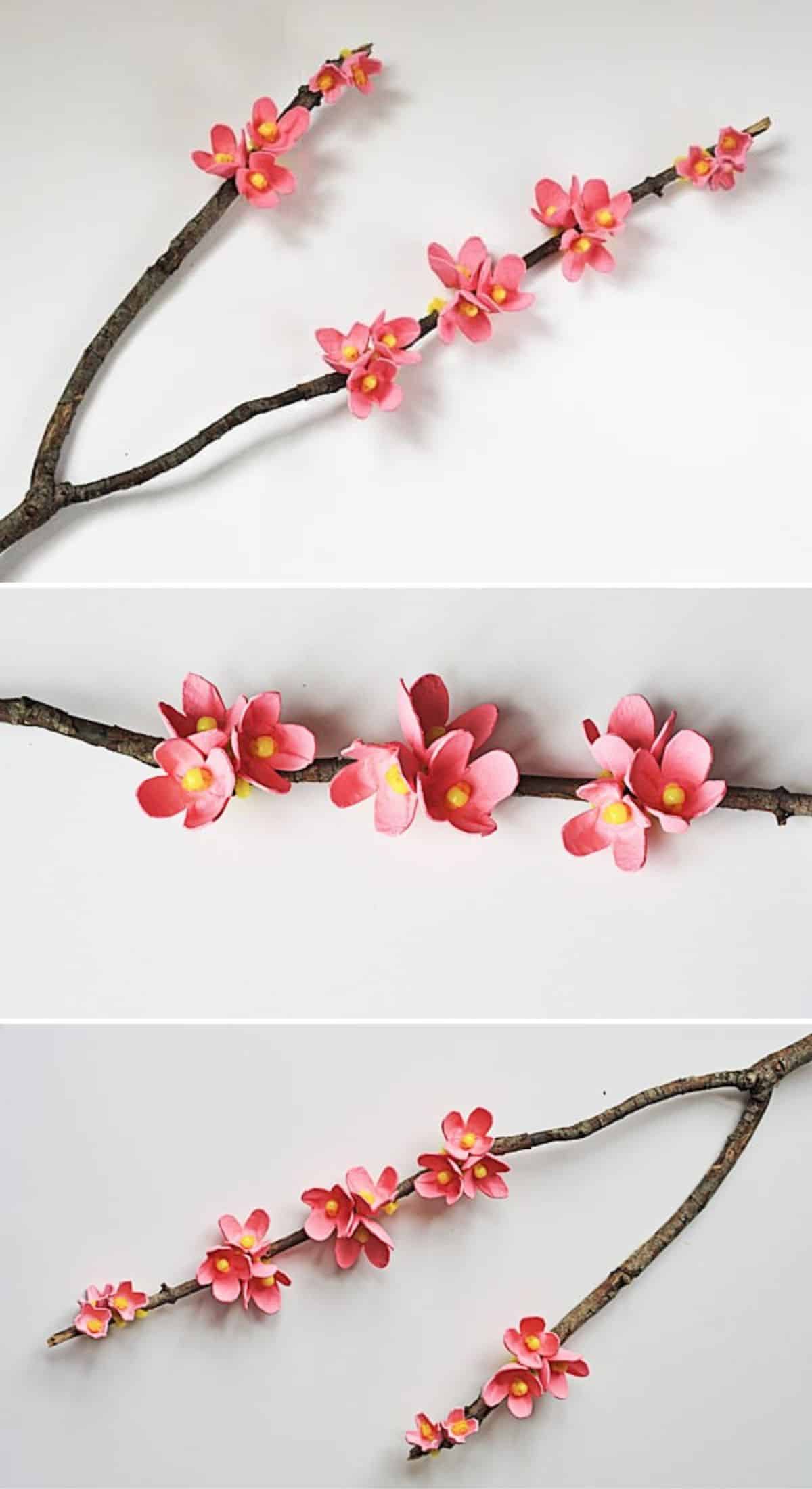 Cherry Blossom Branches