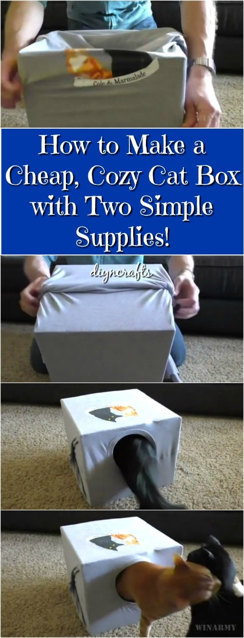How to Make a Cheap, Cozy Cat Box with Two Simple Supplies! {Video}