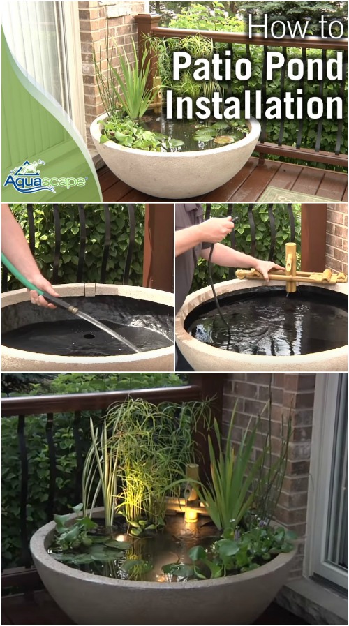 How to Create a Patio Water Garden the Easy Way {Video}