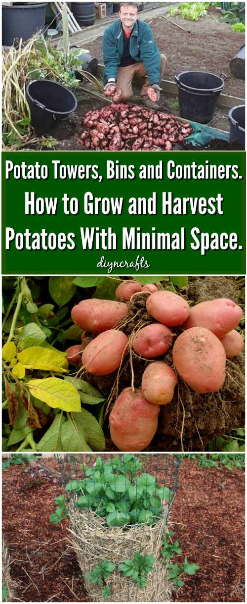 Potato Towers, Bins and Containers. How to Grow and Harvest Potatoes With Minimal Space.