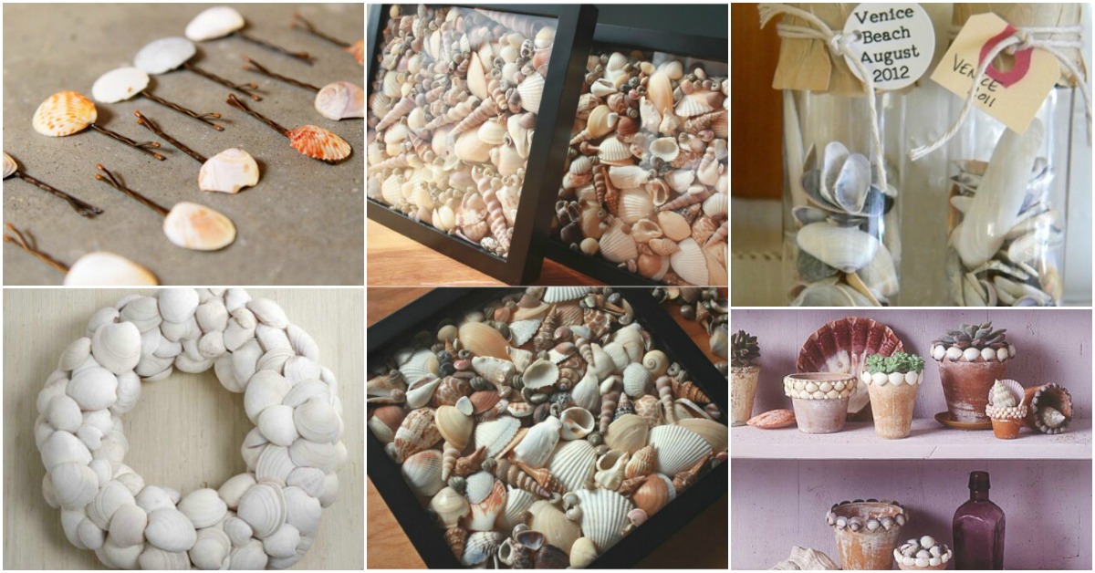 seashell-projects
