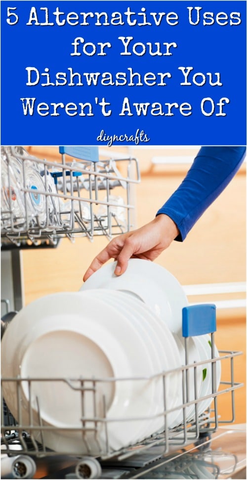 5 Alternative Uses for Your Dishwasher You Weren't Aware Of {Video}