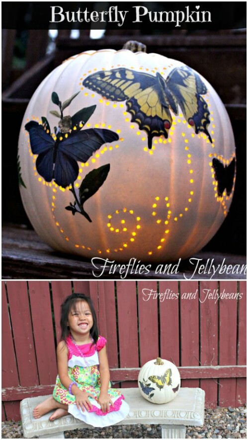 53. Butterfly Pumpkin