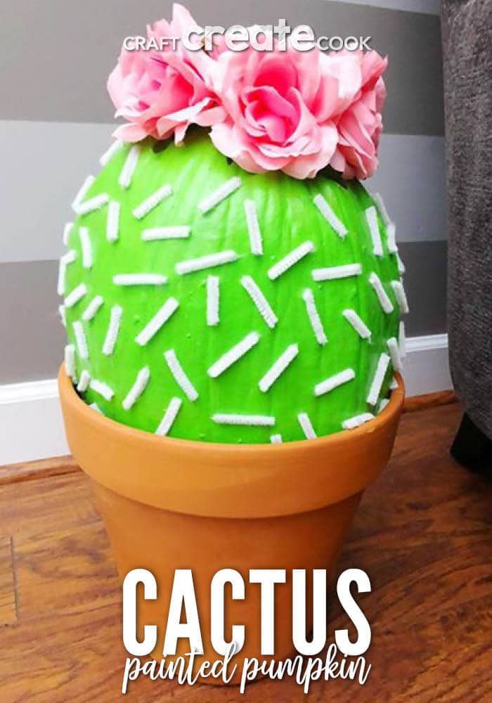 Cactus pumpkin in flower pot