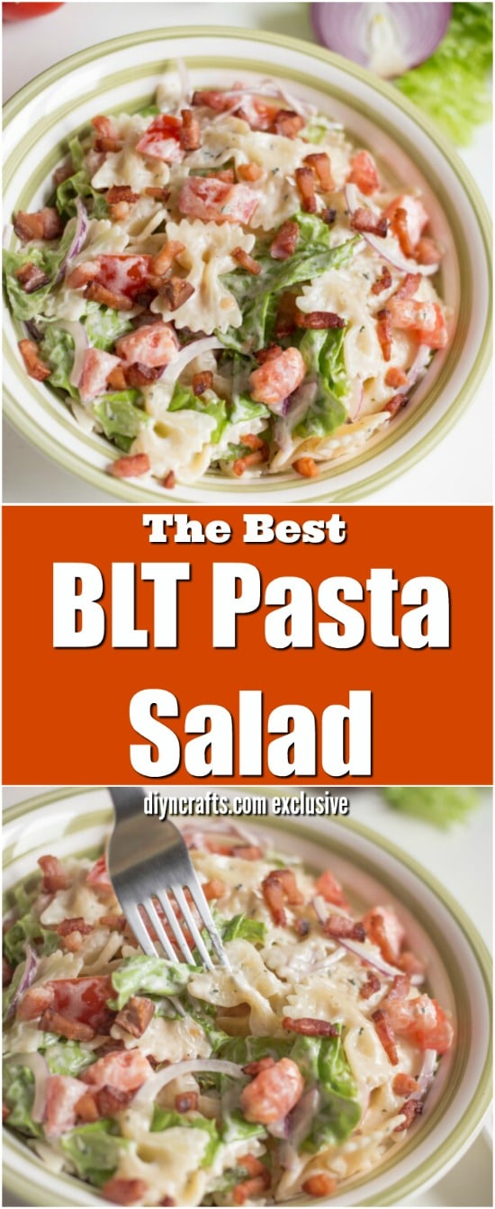 Delicious BLT Pasta Salad So Good Your Guests Will Beg For The Recipe