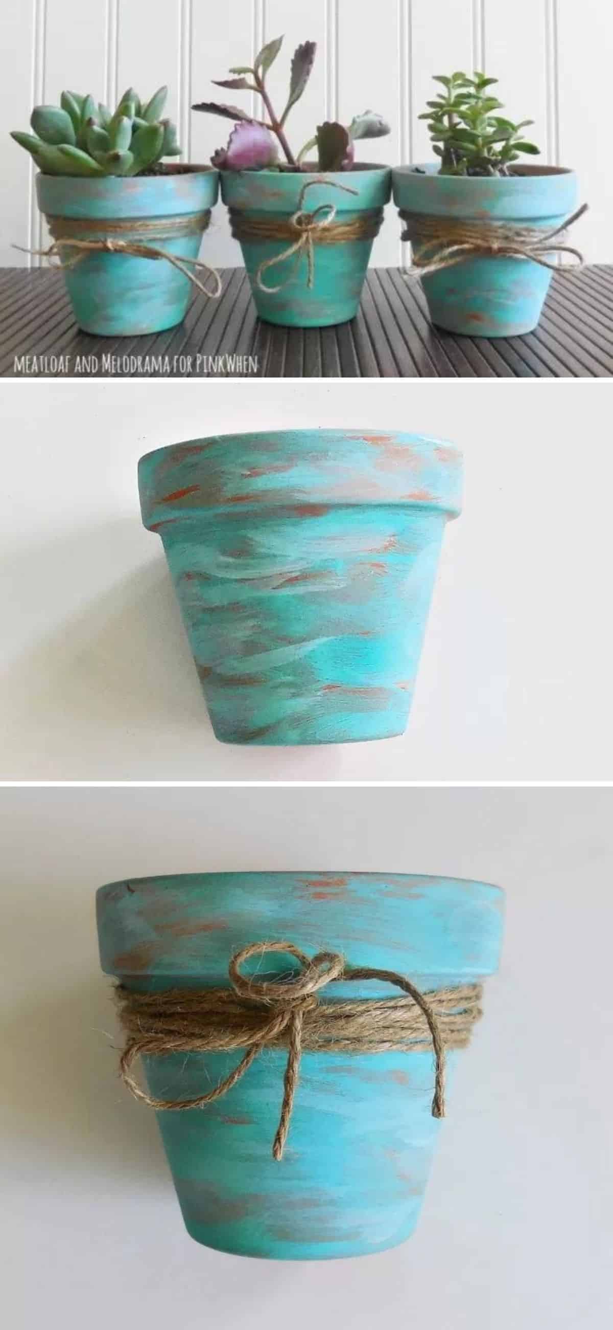 DIY Rustic Succulent Pots collage.