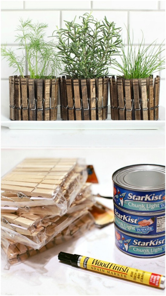 Clothespin Can Herb Planters - 20 Frugally Genius Ways To Upcycle Empty Tuna Cans