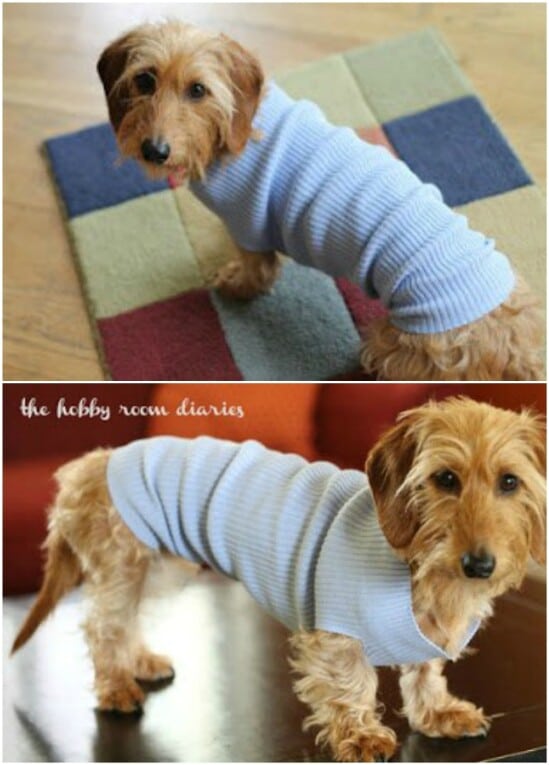 Easy Small Dog Sweater - 50 Amazingly Creative Upcycling Projects For Old Sweaters