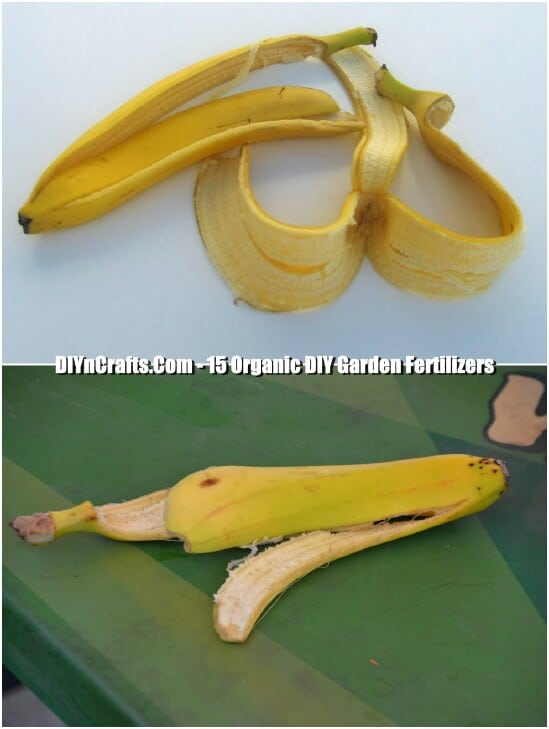 Banana Peel Fertilizer