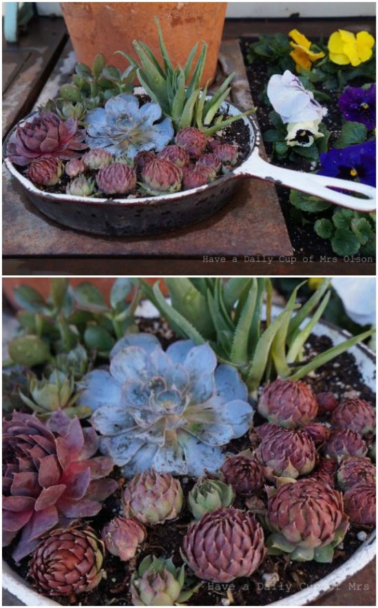Repurposed Pots And Pans Into Succulent Planters