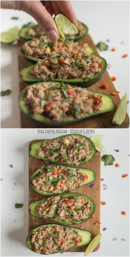Tuna Stuffed Avocado – An Easy And Delicious Appetizer For Any Occasion {DIYnCrafts Recipes}