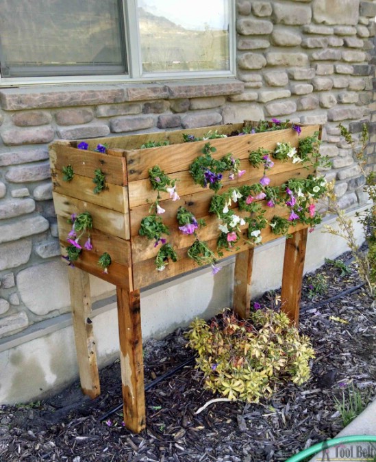 Steps on how to do the DIY Recycled Pallet Planter