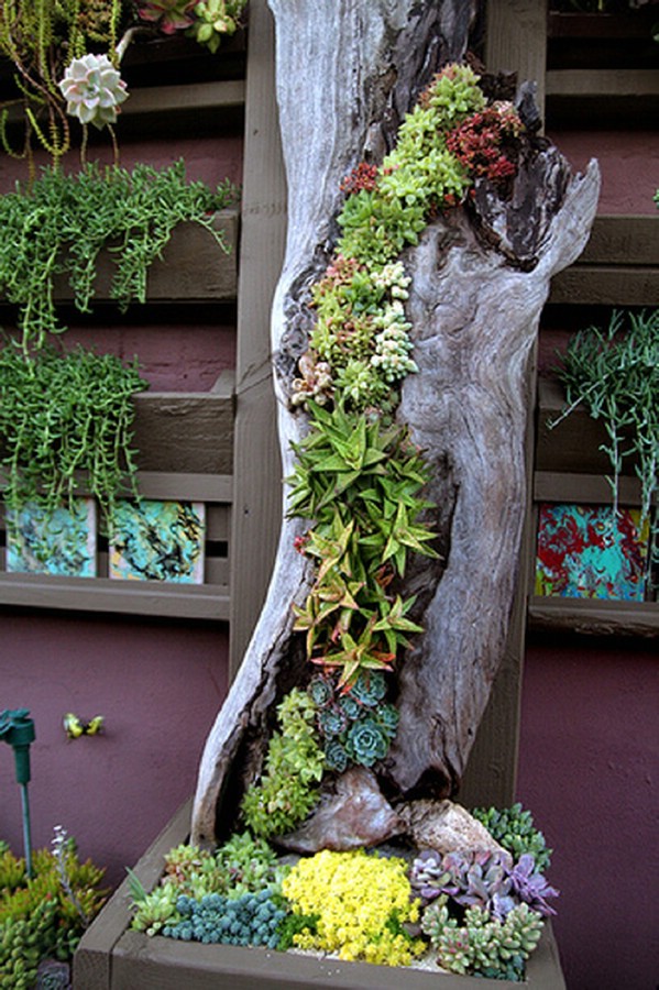succulent diy gardens stairway backyard heaven trunk diyncrafts