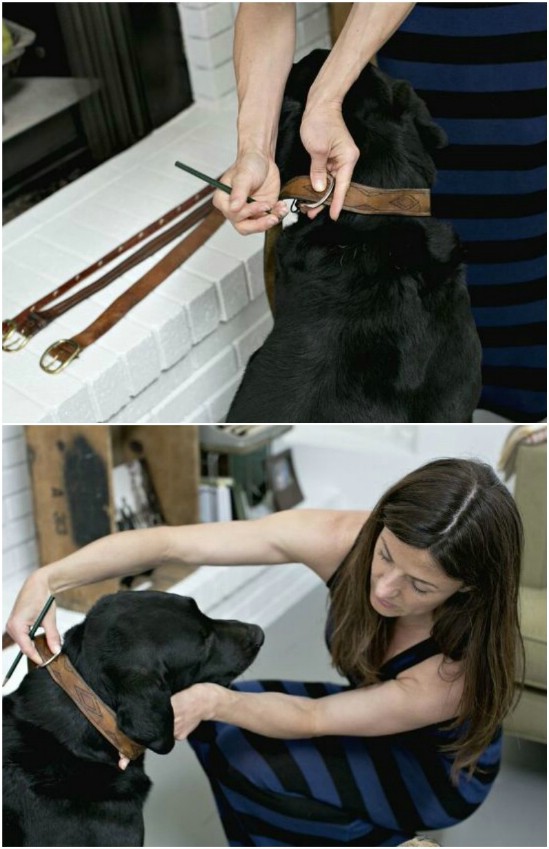 Repurposed Leather Belt Dog Collars