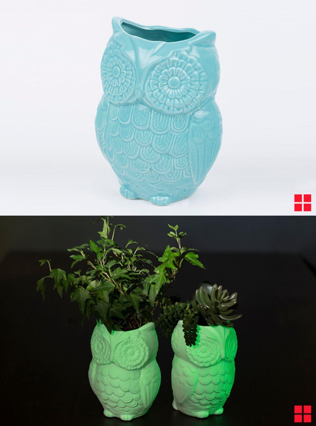 Easy Glow In The Dark Planters