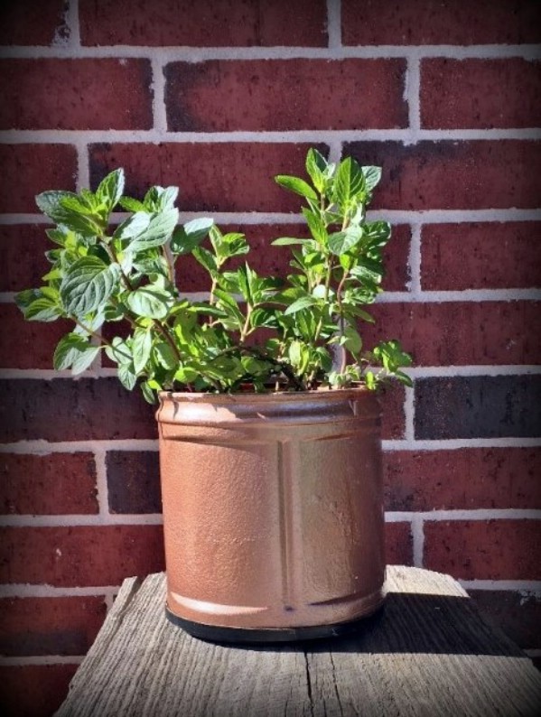 Upcycled Coffee Can Planter