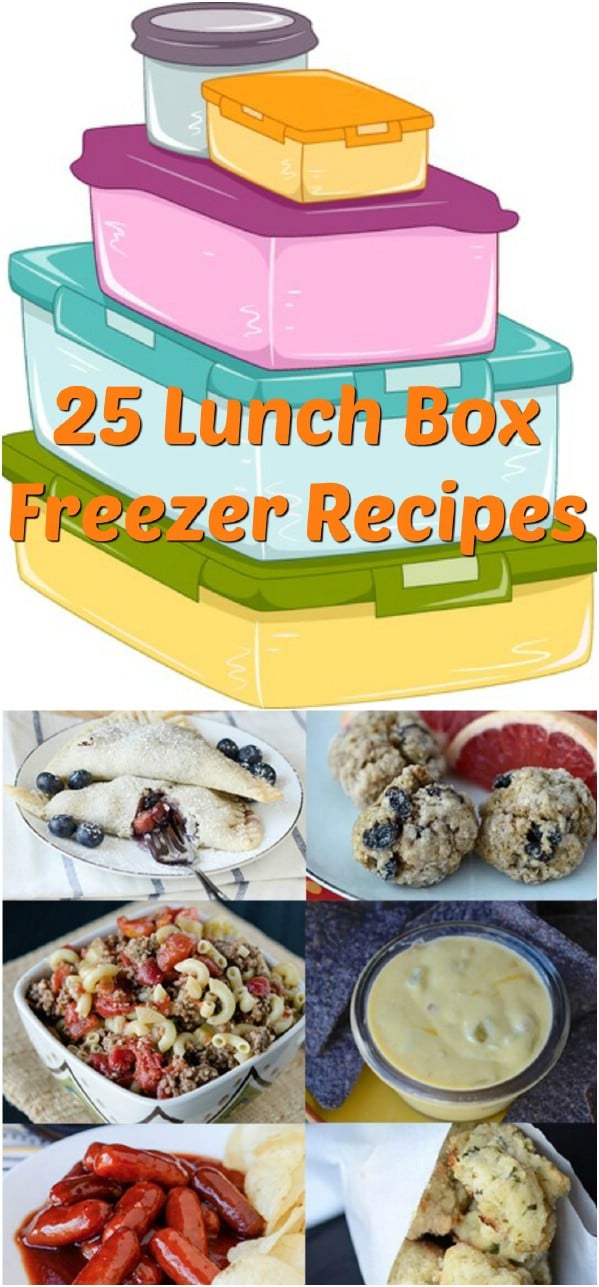  25 Lunch Box Freezer Recipes