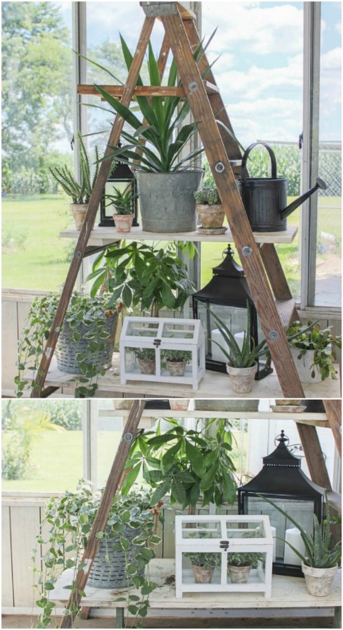 Indoor/Outdoor Plant Display