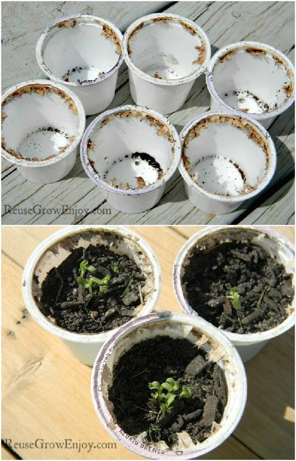 K-Cup Seed Starter Pods