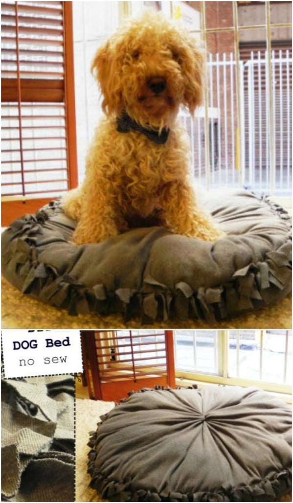 No Sew DIY Dog Bed Pillow