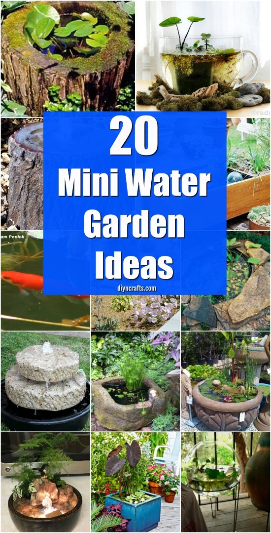 20 Charming And Cheap Mini Water Garden Ideas For Your Home And Garden {With tutorial links}