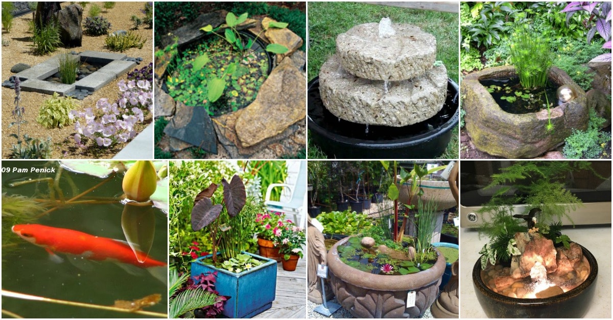 20 Charming And Cheap Mini Water Garden Ideas For Your Home And Garden -  Diy & Crafts