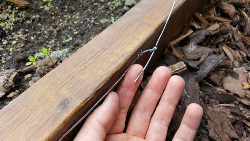 How to Build a Humane Slug and Snail Repelling Fence