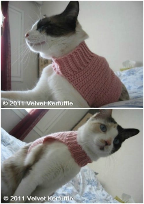 Mock Turtleneck Cat Sweater