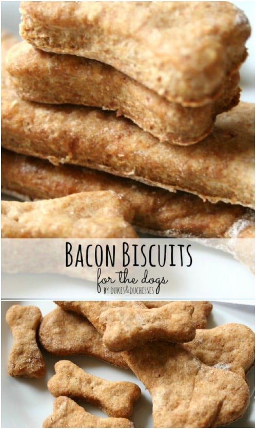 Yummy Bacon Dog Biscuits