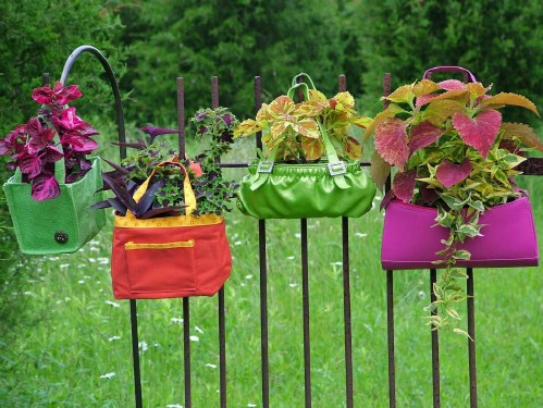 Colorful Bag Planters