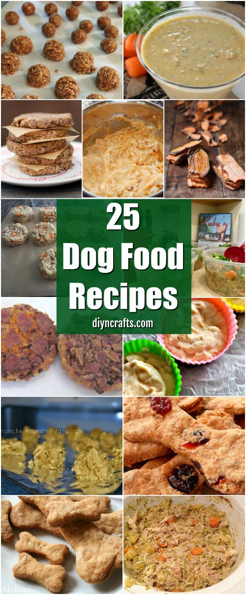 25 Lip Smacking Homemade Healthy Dog Food Recipes Your Pooch Will Love