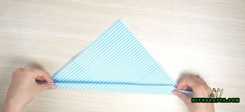 Fish Napkin - 5 Creative and Mind-Blowing Napkin-Folding Tricks in Under 4 Minutes