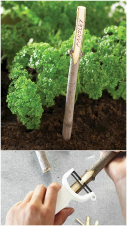 DIY Twig Plant Markers