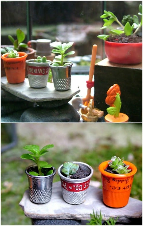 Tiny Thimble Planters