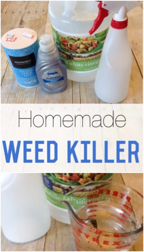 DIY Weed Killer