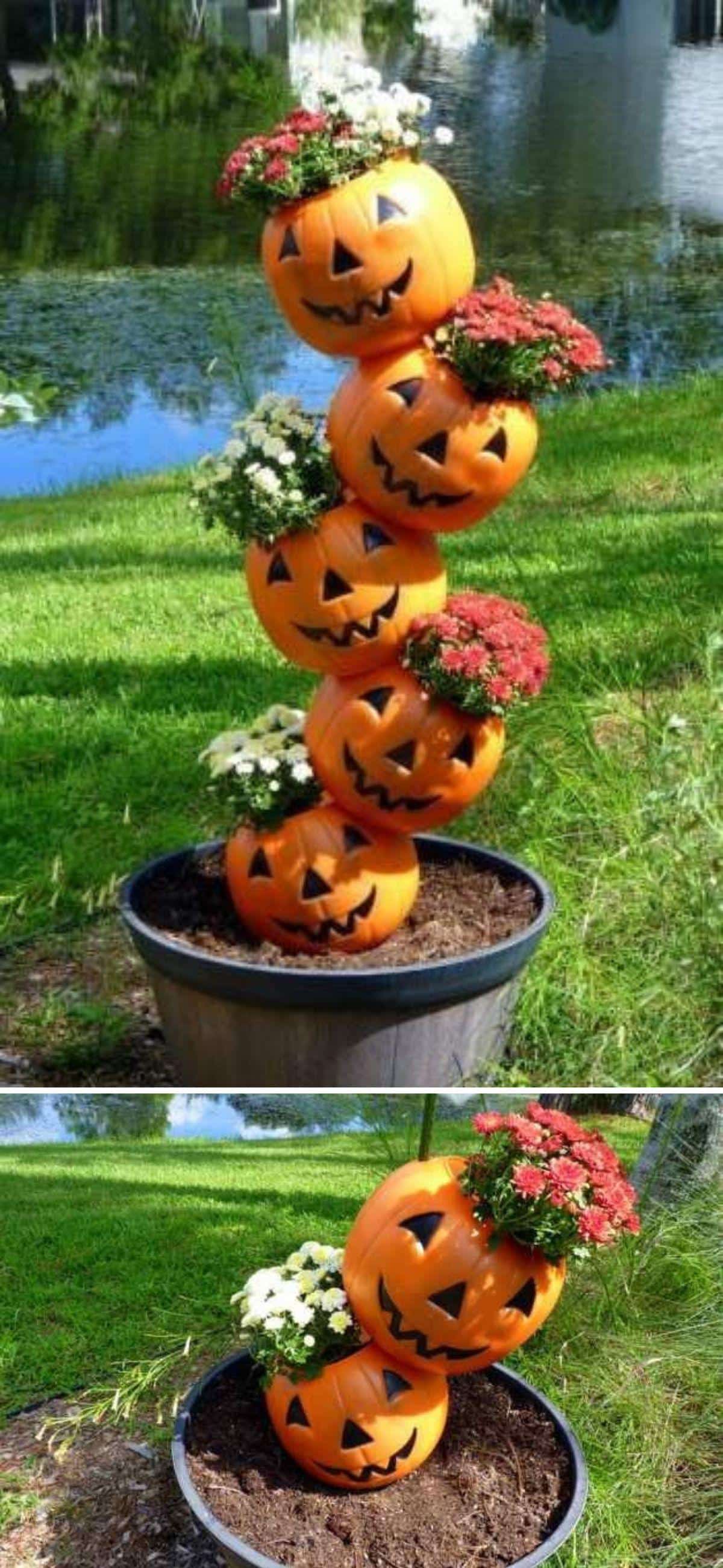 Adorable DIY Tipsy Pumpkins