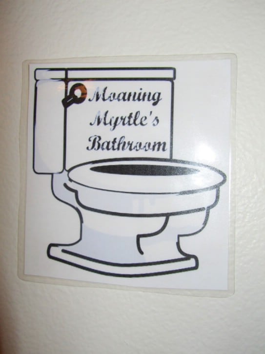 DIY Moaning Myrtle Toilet