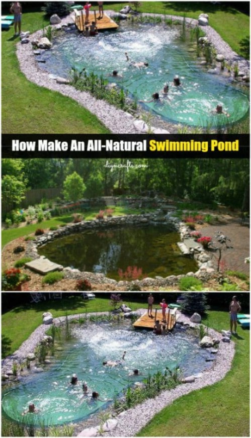 Construct a Natural Swimming Pool Yourself