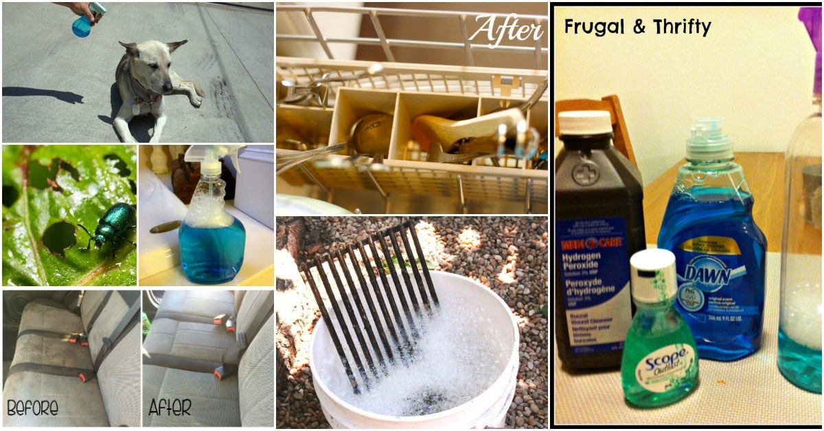 30 Frugal Uses For Dawn Dish Soap That Will Simplify Your Life